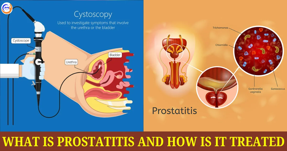 What is Prostatitis and How is It Treated: Causes, Symptoms, Diagnosis &amp; Treatment